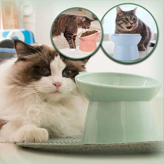 CONFORT OPTIMAL AU REPAS | Kittybowl™ - Chat - achat.com