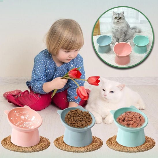 CONFORT OPTIMAL AU REPAS | Kittybowl™ - Chat - achat.com