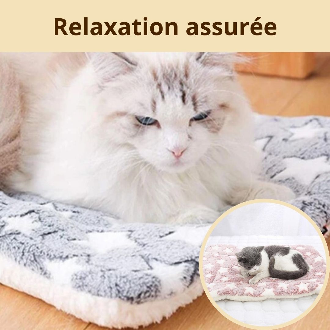 Coussin pour chat - ÉdenFélin™ - Chat - achat.com