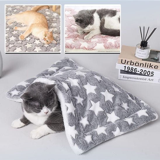 COUSSIN POUR CHAT - ÉdenFélin™ - Chat - achat.com
