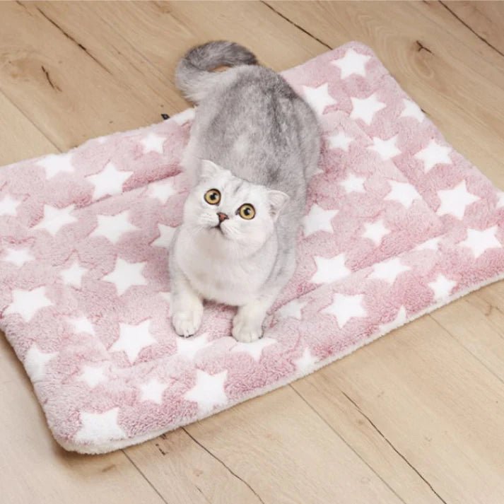 COUSSIN POUR CHAT - ÉdenFélin™ - Chat - achat.com