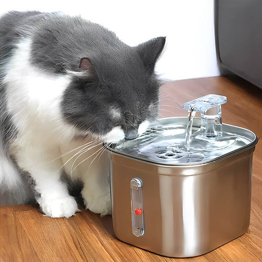 Fontaine À Eau Chat - HydraPaws™ - Chat - achat.com
