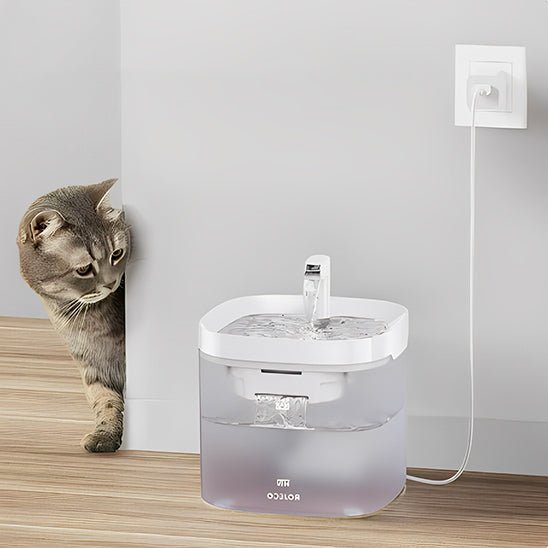 Fontaine à Eau Chat - HydroKitty™ - Chat - achat.com