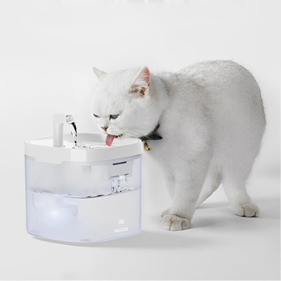 Fontaine à Eau Chat - HydroKitty™ - Chat - achat.com