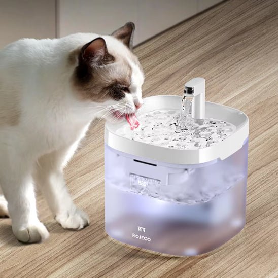 Fontaine à Eau Chat - HydroKitty™ - Chat - achat.com