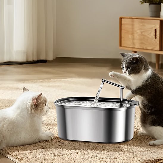 Fontaine à eau chat - PurrPure™ - Chat - achat.com
