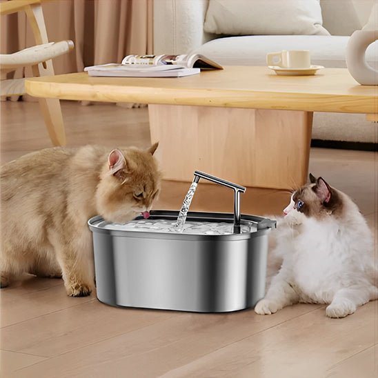 Fontaine à eau chat - PurrPure™ - Chat - achat.com