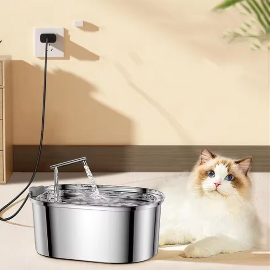 Fontaine à eau chat - PurrPure™ - Chat - achat.com