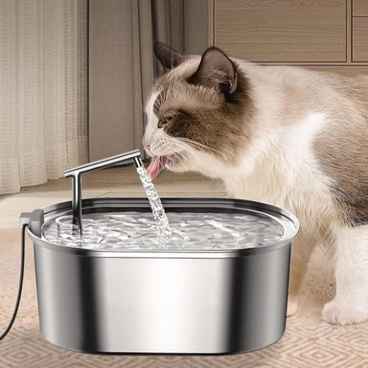 Fontaine à eau chat - PurrPure™ - Chat - achat.com