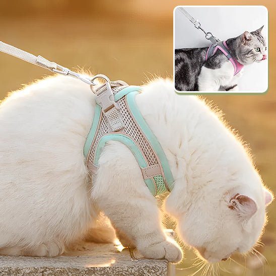 HARNAIS CHAT - CatHoldâą - Chat - achat.com