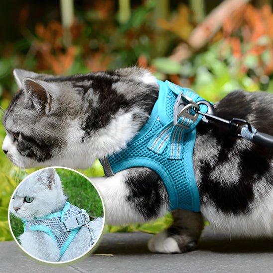 HARNAIS CHAT - CatHoldâą - Chat - achat.com