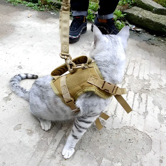 Harnais Chat - Catmando™ - Chat - achat.com