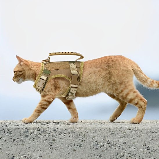 Harnais Chat - Catmando™ - Chat - achat.com