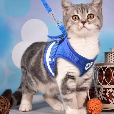 HARNAIS CHAT - FreedomPawsâą - Chat - achat.com