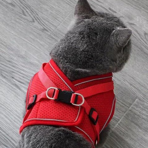 HARNAIS CHAT - FreedomPawsâą - Chat - achat.com