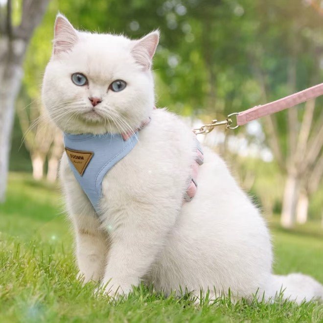HARNAIS POUR CHAT - Kittygo™ - Chat - achat.com