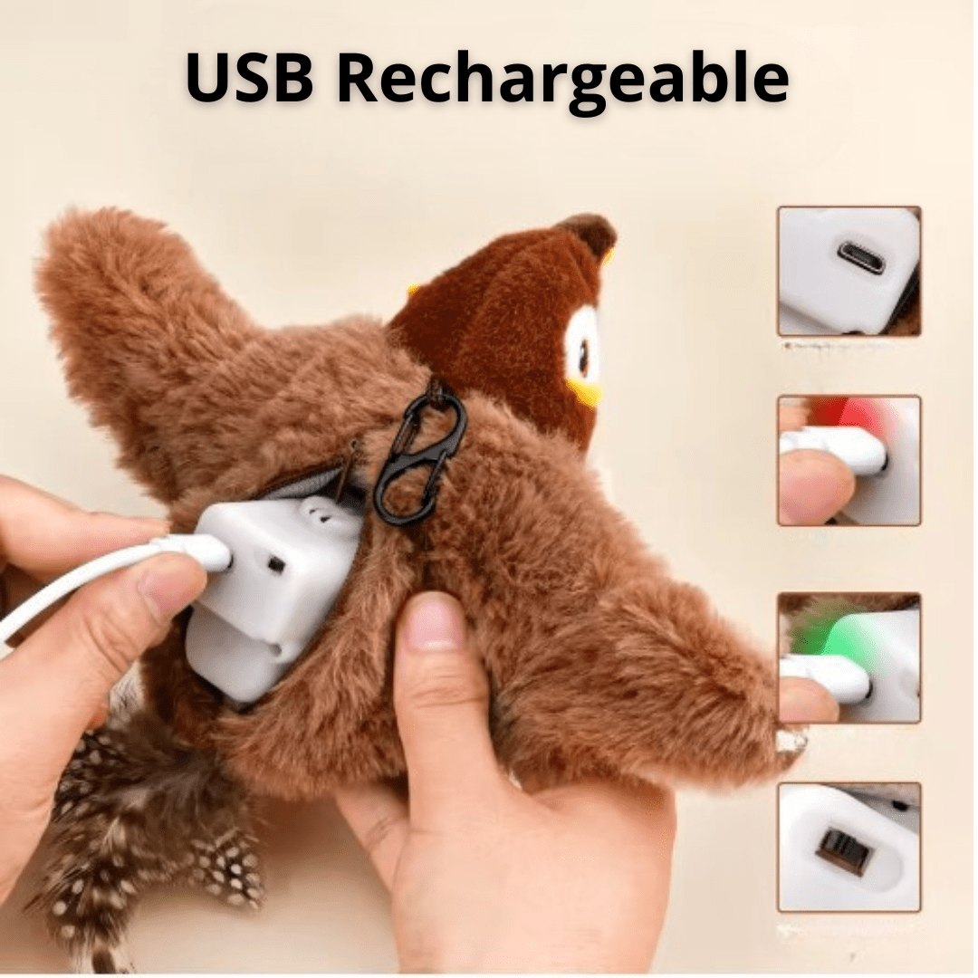 Jouet Pour Chat - FlyBirdyCat™ - Chat - achat.com
