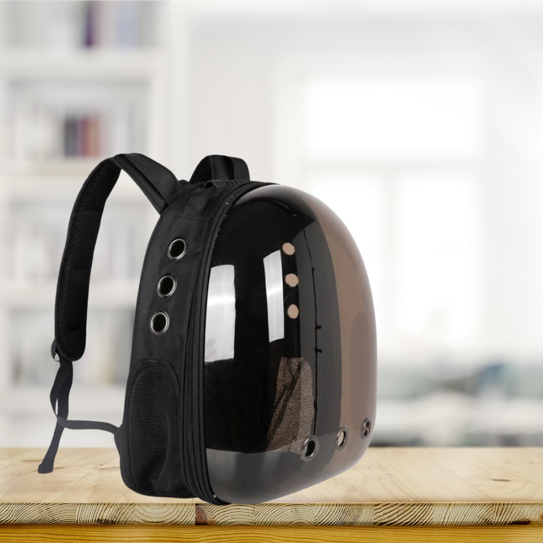SAC À DOS POUR CHAT - 360 - Chat - achat.com
