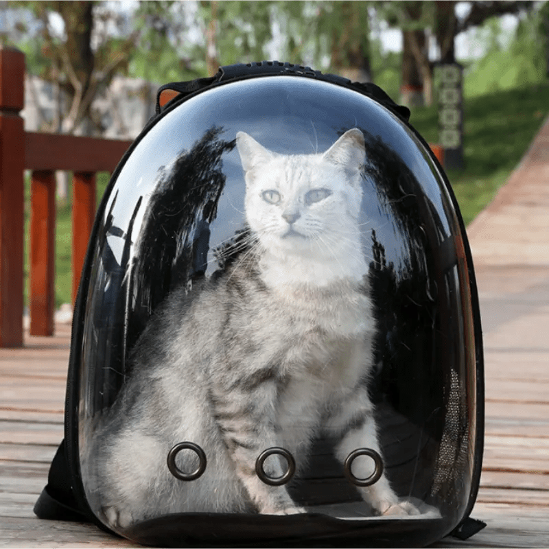 SAC À DOS POUR CHAT - 360 - Chat - achat.com
