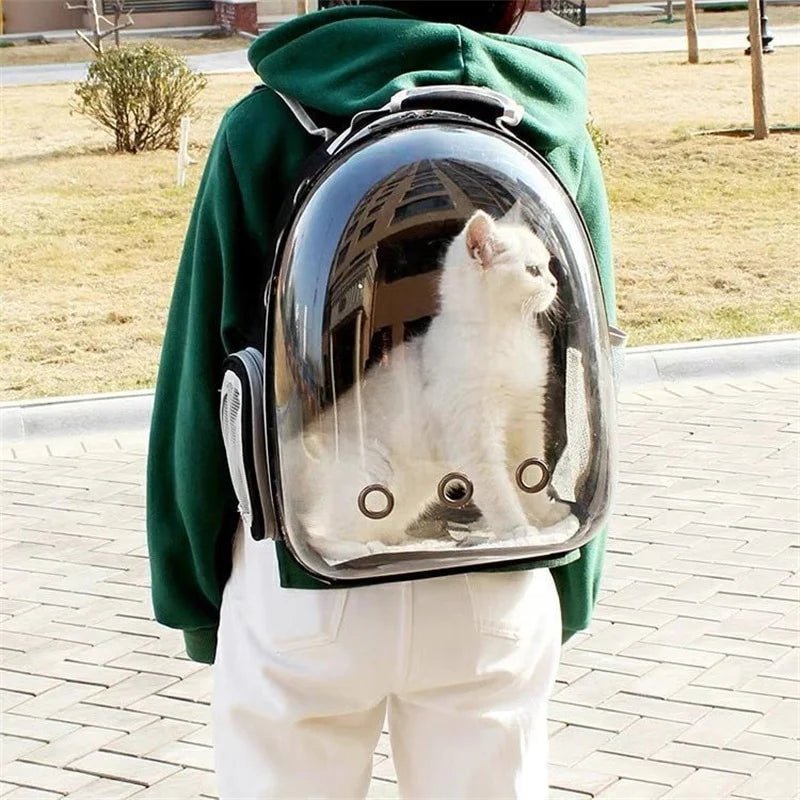 SAC À DOS POUR CHAT - 360 - Chat - achat.com