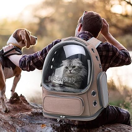 SAC À DOS POUR CHAT - Bulle - Chat - achat.com
