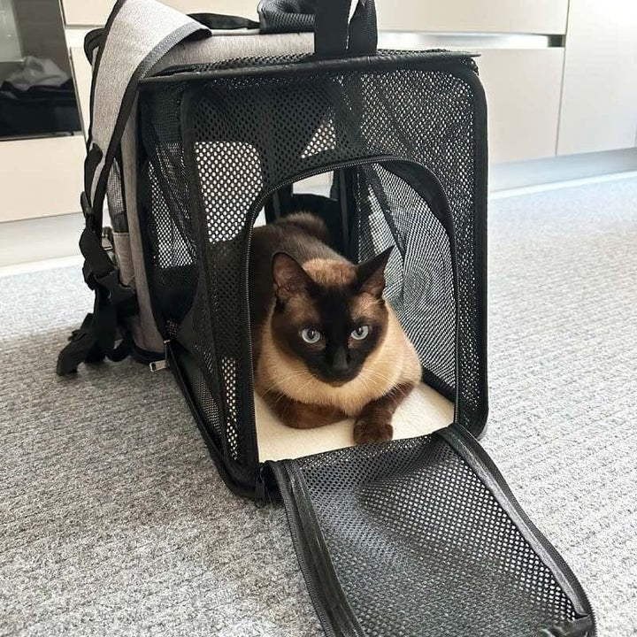 SAC A DOS POUR CHAT : CatExpedition™ - Chat - achat.com