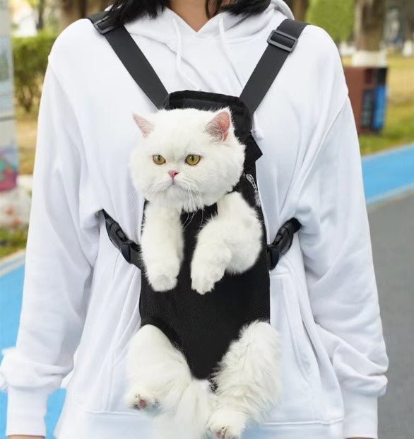 Sac de transport chat - Ventral - Chat - achat.com