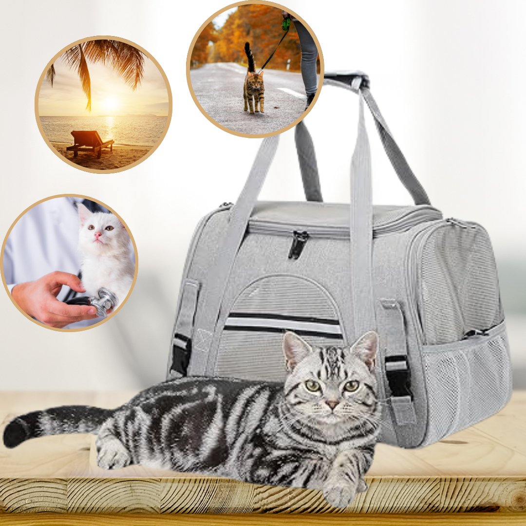 Sac de transport pour chat - CatTravel™ - Chat - achat.com