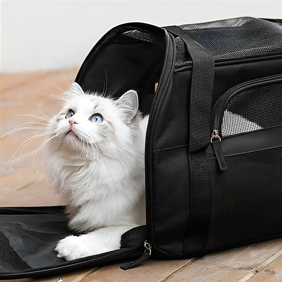 Sac de transport pour chat - CatTravel™ - Chat - achat.com