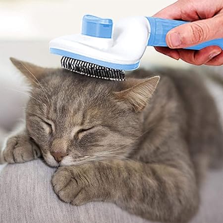BROSSE POUR CHAT AUTONETTOYANTE - Silkypaws™ - Chat - achat.com