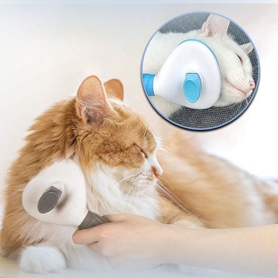 BROSSE POUR CHAT AUTONETTOYANTE - Silkypaws™ - Chat - achat.com