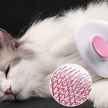 brosse-pour-chat-autonettoyante
