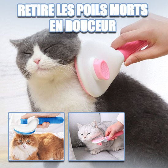 BROSSE POUR CHAT AUTONETTOYANTE - SILKYPAWS™ - Chat - achat.com