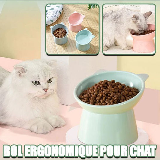 CONFORT OPTIMAL AU REPAS | Kittybowl™ - Chat - achat.com