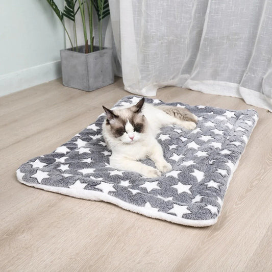 Coussin pour chat - ÉdenFélin™ - Chat - achat.com