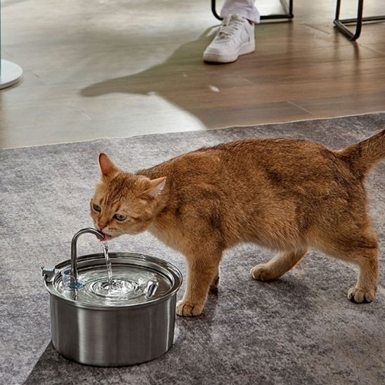 Fontaine A Eau Chat - AquaPaws™ - Chat - achat.com
