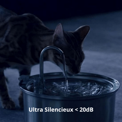 Fontaine A Eau Chat - AquaPaws™ - Chat - achat.com
