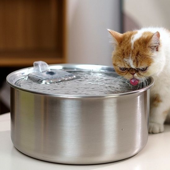 Fontaine A Eau Chat - AquaPaws™ - Chat - achat.com