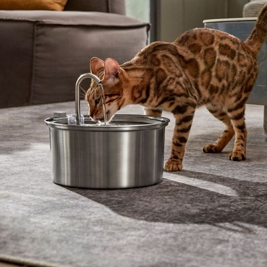 Fontaine A Eau Chat - AquaPaws™ - Chat - achat.com