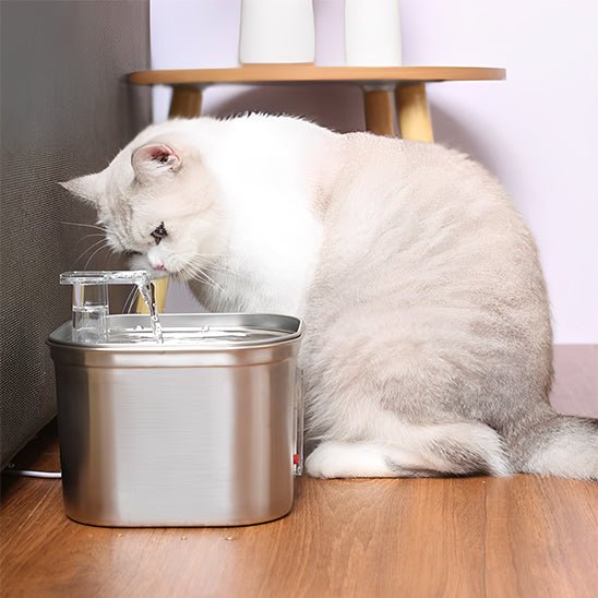 Fontaine À Eau Chat - HydraPaws™ - Chat - achat.com