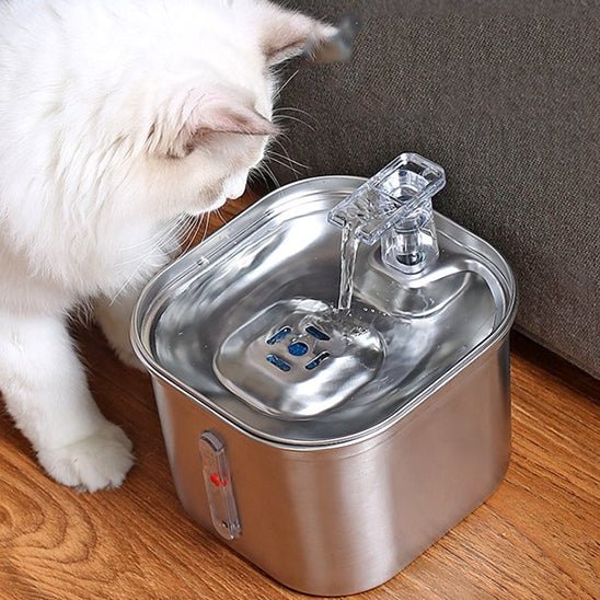 Fontaine À Eau Chat - HydraPaws™ - Chat - achat.com