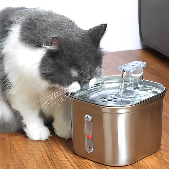 Fontaine À Eau Chat - HydraPaws™ - Chat - achat.com