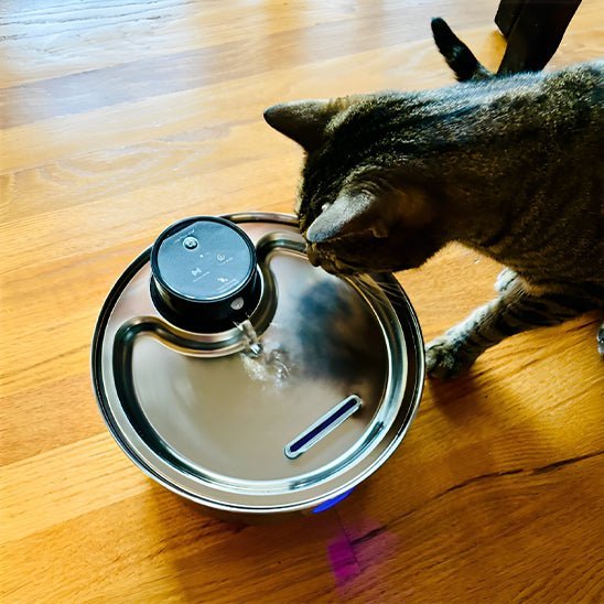 Fontaine A Eau Chat - PurrStream™ - Chat - achat.com