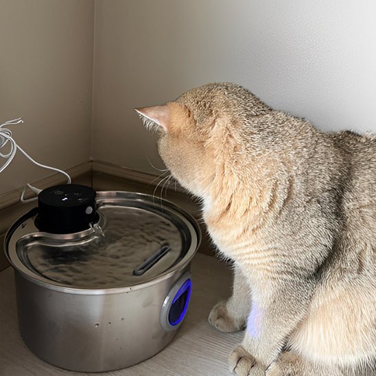 Fontaine A Eau Chat - PurrStream™ - Chat - achat.com