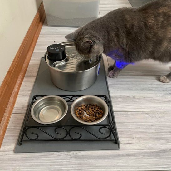 Fontaine A Eau Chat - PurrStream™ - Chat - achat.com