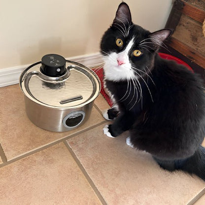 Fontaine A Eau Chat - PurrStream™ - Chat - achat.com