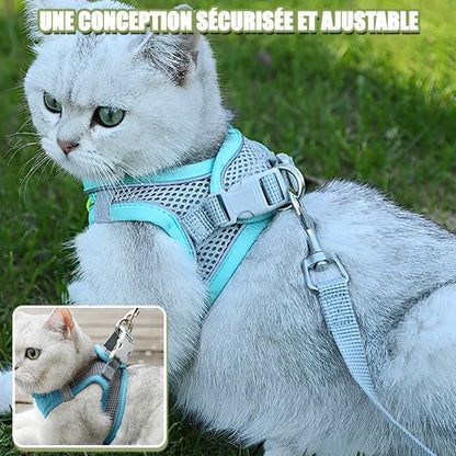 HARNAIS CHAT - CatHold™ - Chat - achat.com