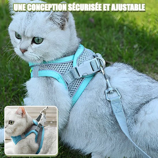 HARNAIS CHAT - CatHold™ - Chat - achat.com