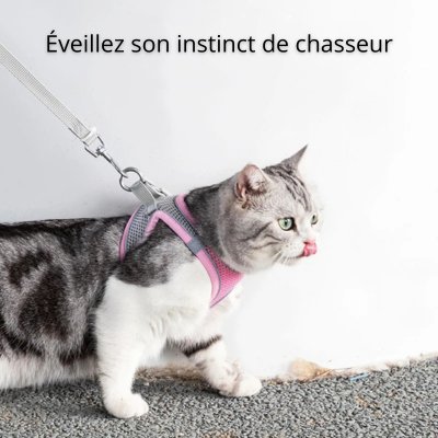 HARNAIS CHAT - CatHold™ - Chat - achat.com