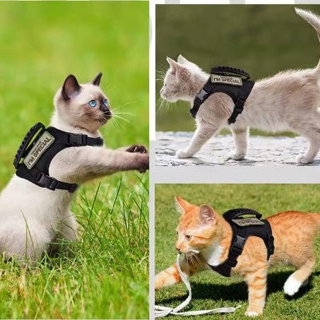 Harnais Chat - Catmando™ - Chat - achat.com